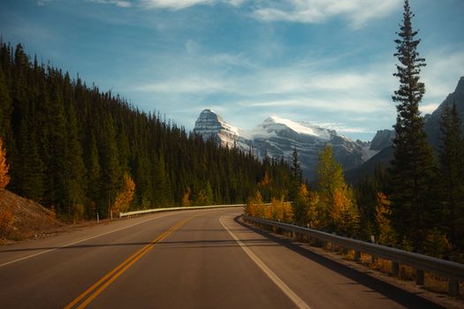 Curved road through lush forest leading to snow-capped mountains on a sunny autumn day.