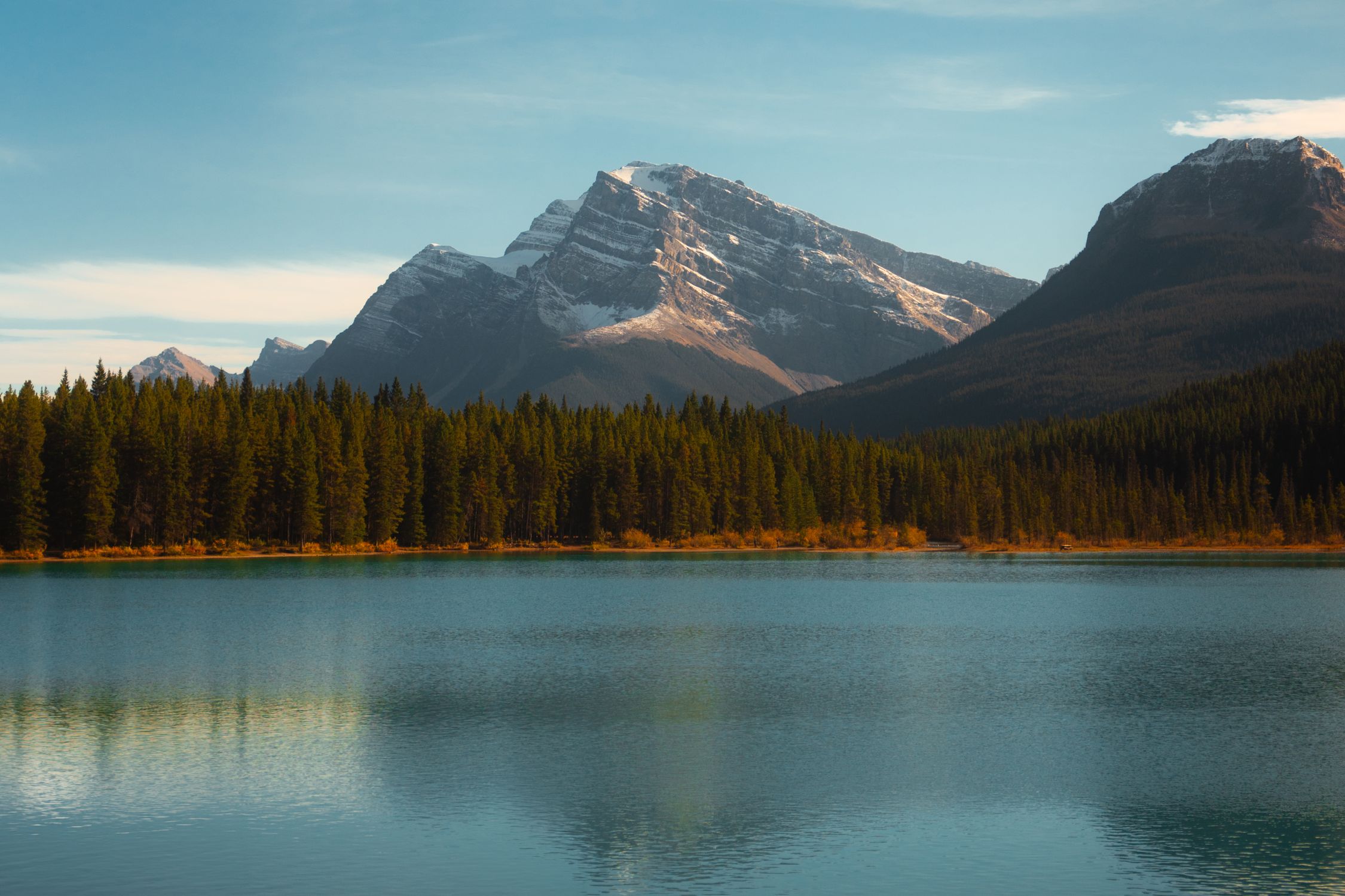 Scenic Mountain Lake Landscape with Pine Forest · Free Stock Photo