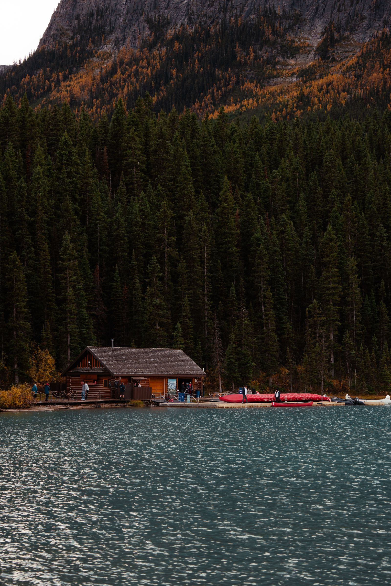 A cozy cabin on a lake surrounded by evergreen forest