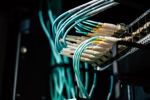 Free Cables Connected on Server Stock Photo