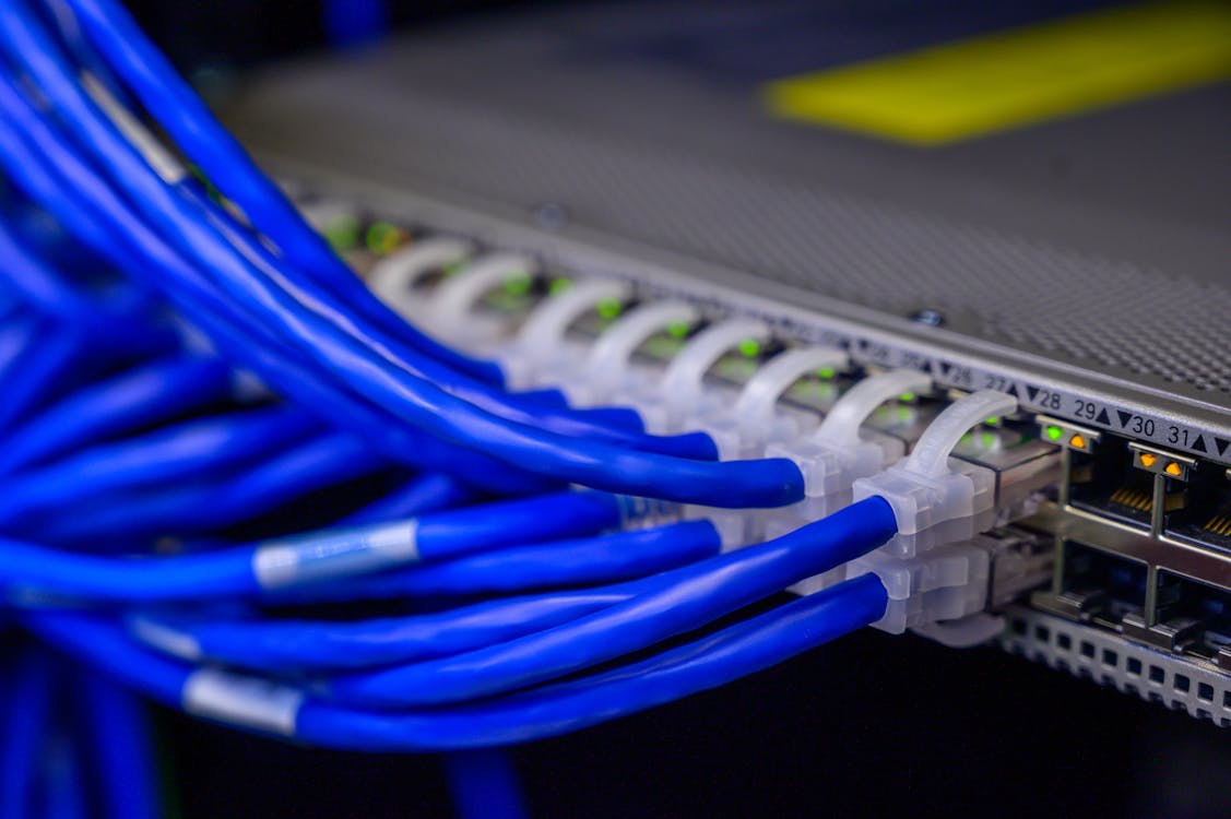 Free Cables Connected to Ethernet Ports Stock Photo