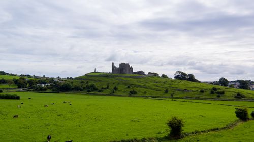 Free Beautiful landscape of the Rock of Cashel surrounded by green fields and grazing cattle under a cloudy sky. Stock Photo