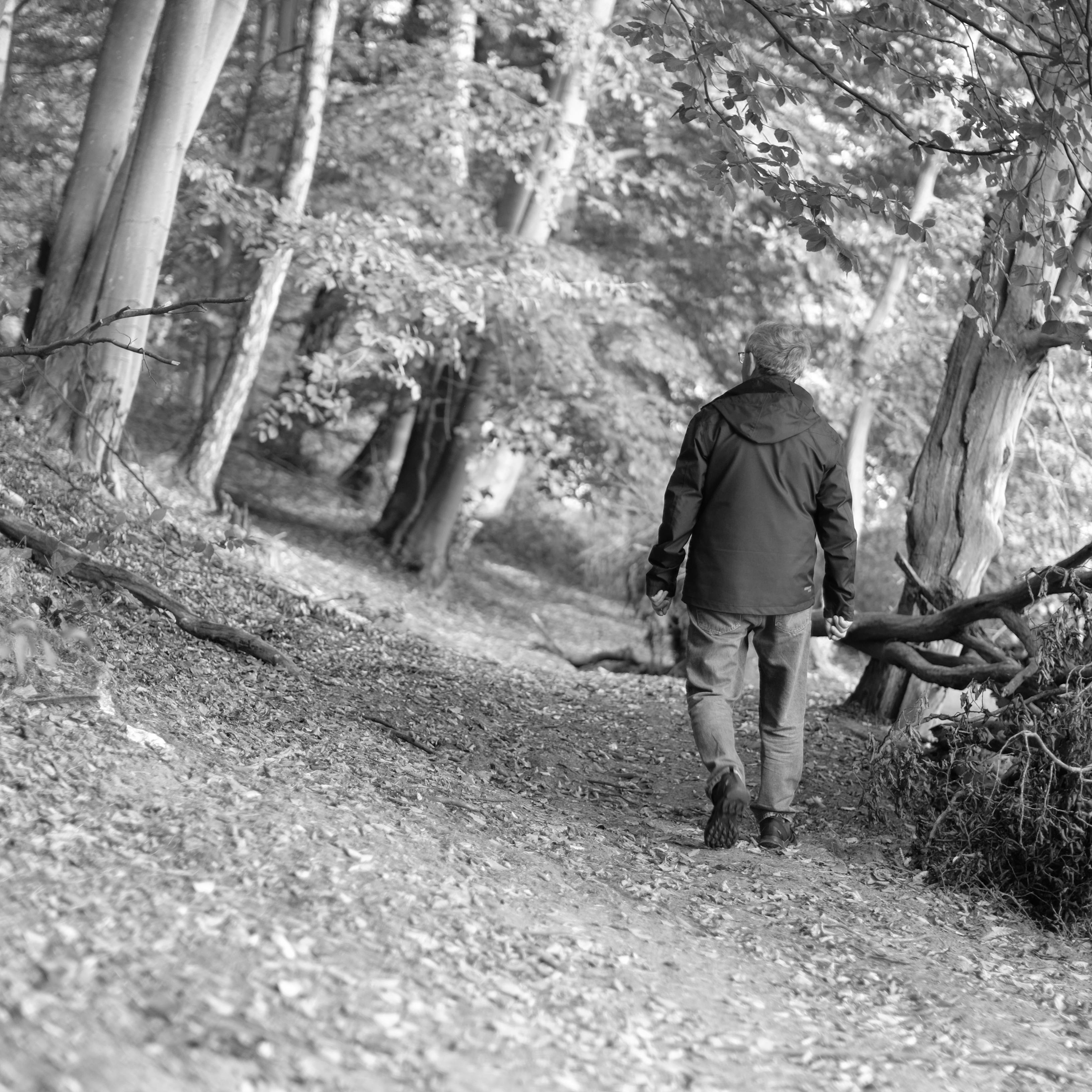 A person walks alone on a forest path surrounded by autumn foliage, captured in black and white.