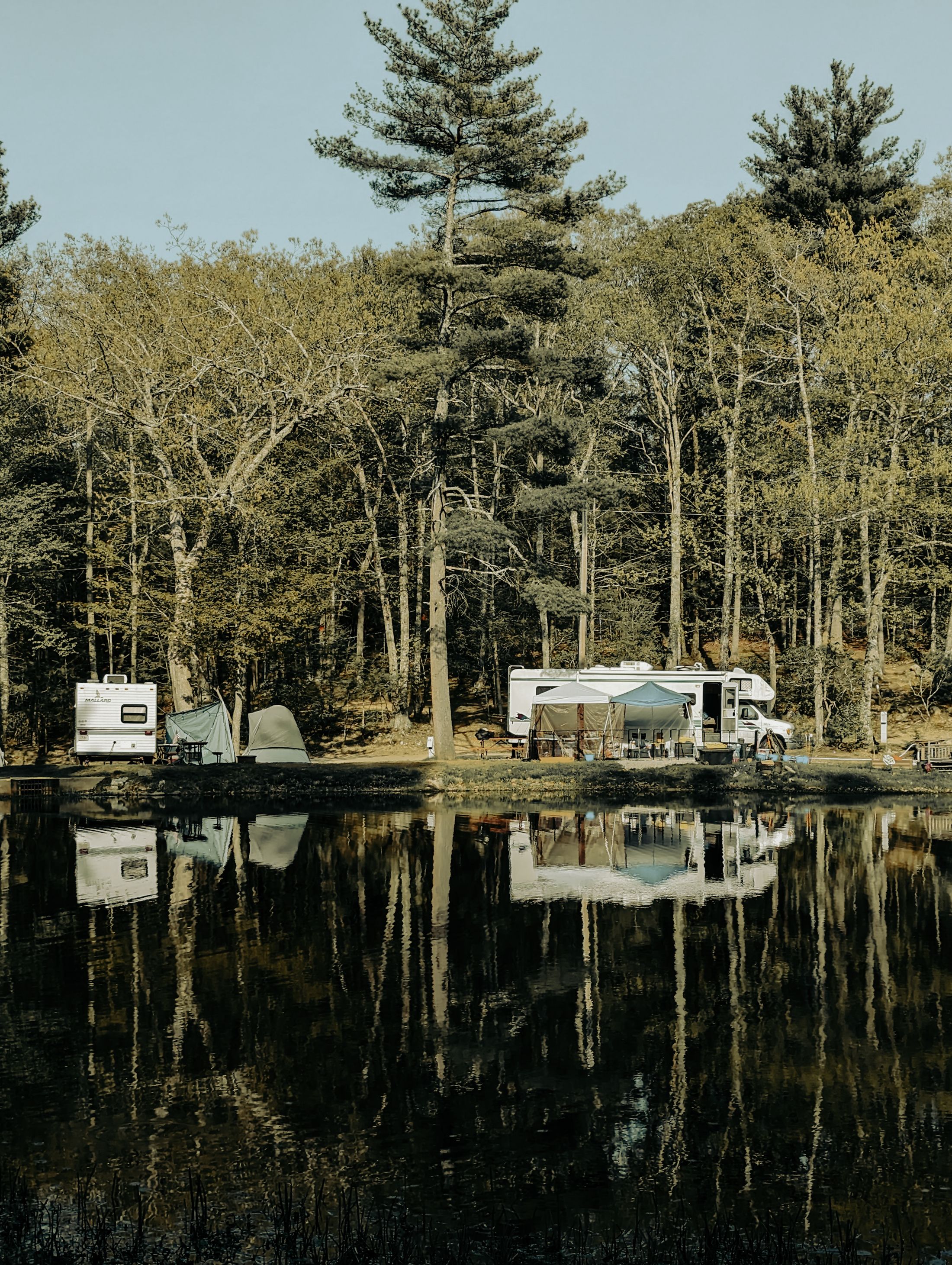 RV and camper setup at an outdoor campsite