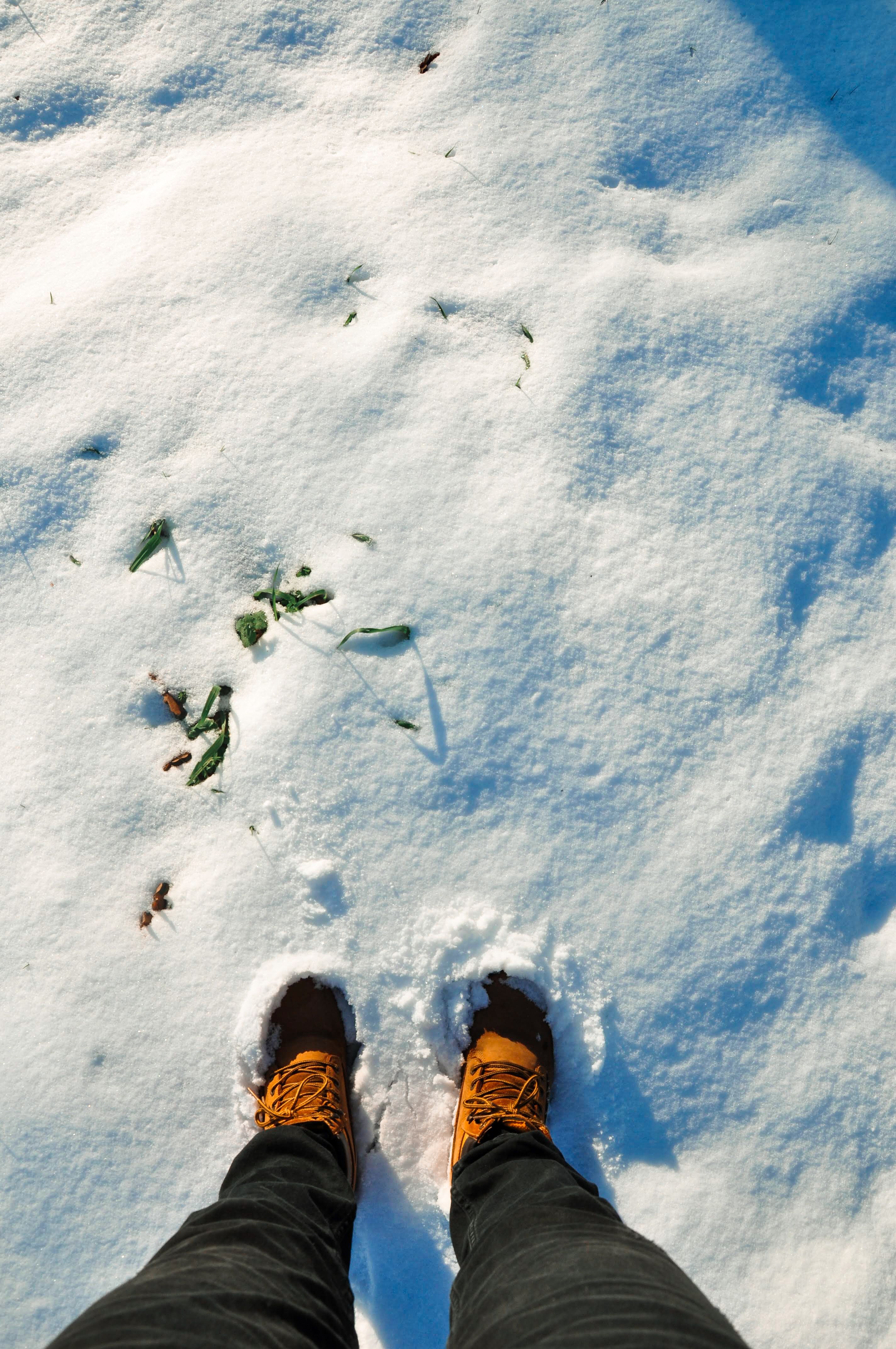Rosemere Ski Boots - photo 3