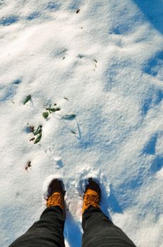 Feet in brown boots standing on fresh white snow with green leaves.