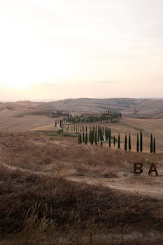 Beautiful tuscan landscape with winding road and cypress trees under a sunset sky, ideal for travel inspiration.