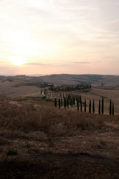 A serene sunset view over Tuscany's iconic rolling hills and cypress trees in Lazio, Italy.