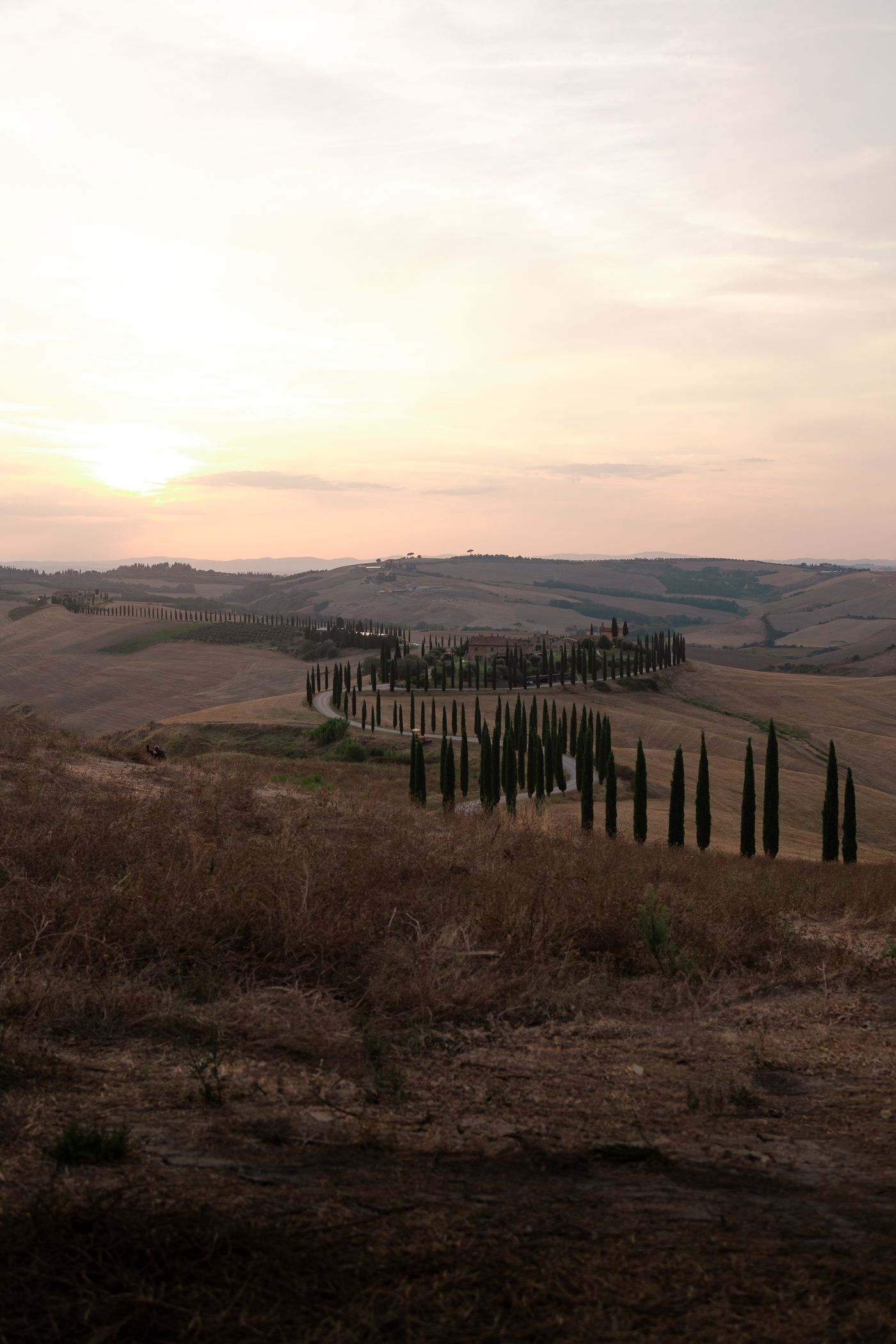 Sunset over rolling Tuscan hills and cypress trees
