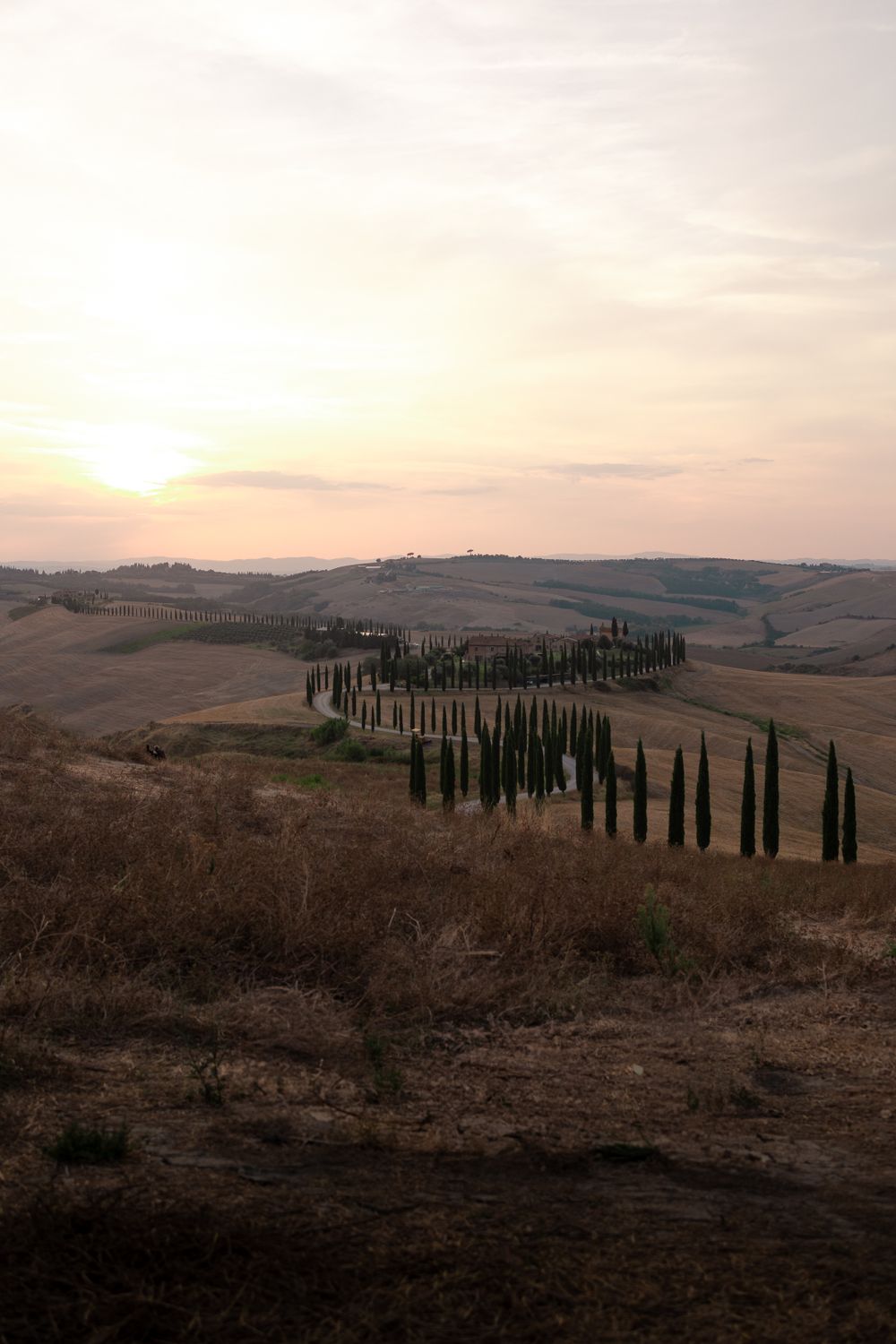 Sunset Over Rolling Tuscan Hills and Cypress Trees · Free Stock Photo