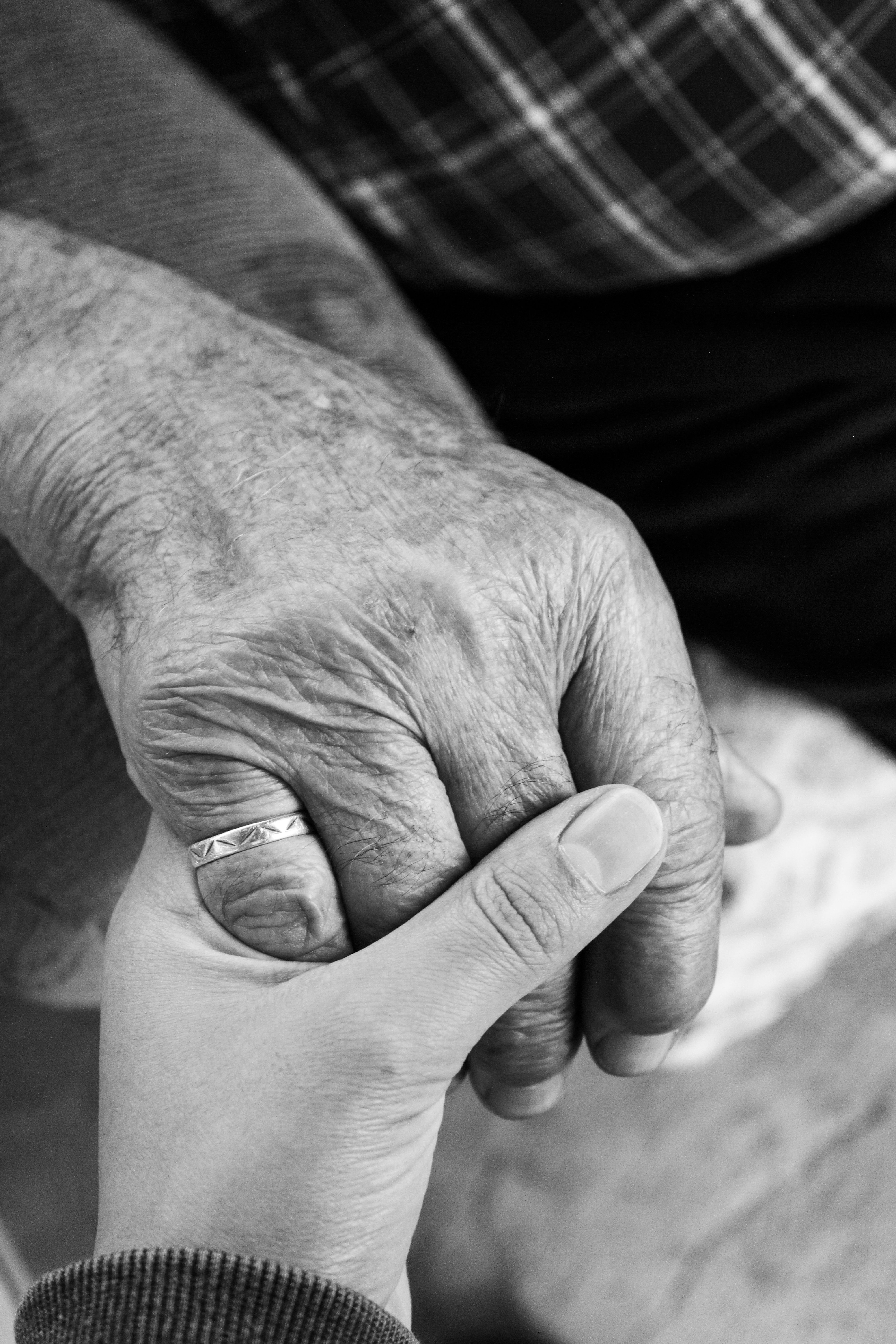 Older adult and student connecting