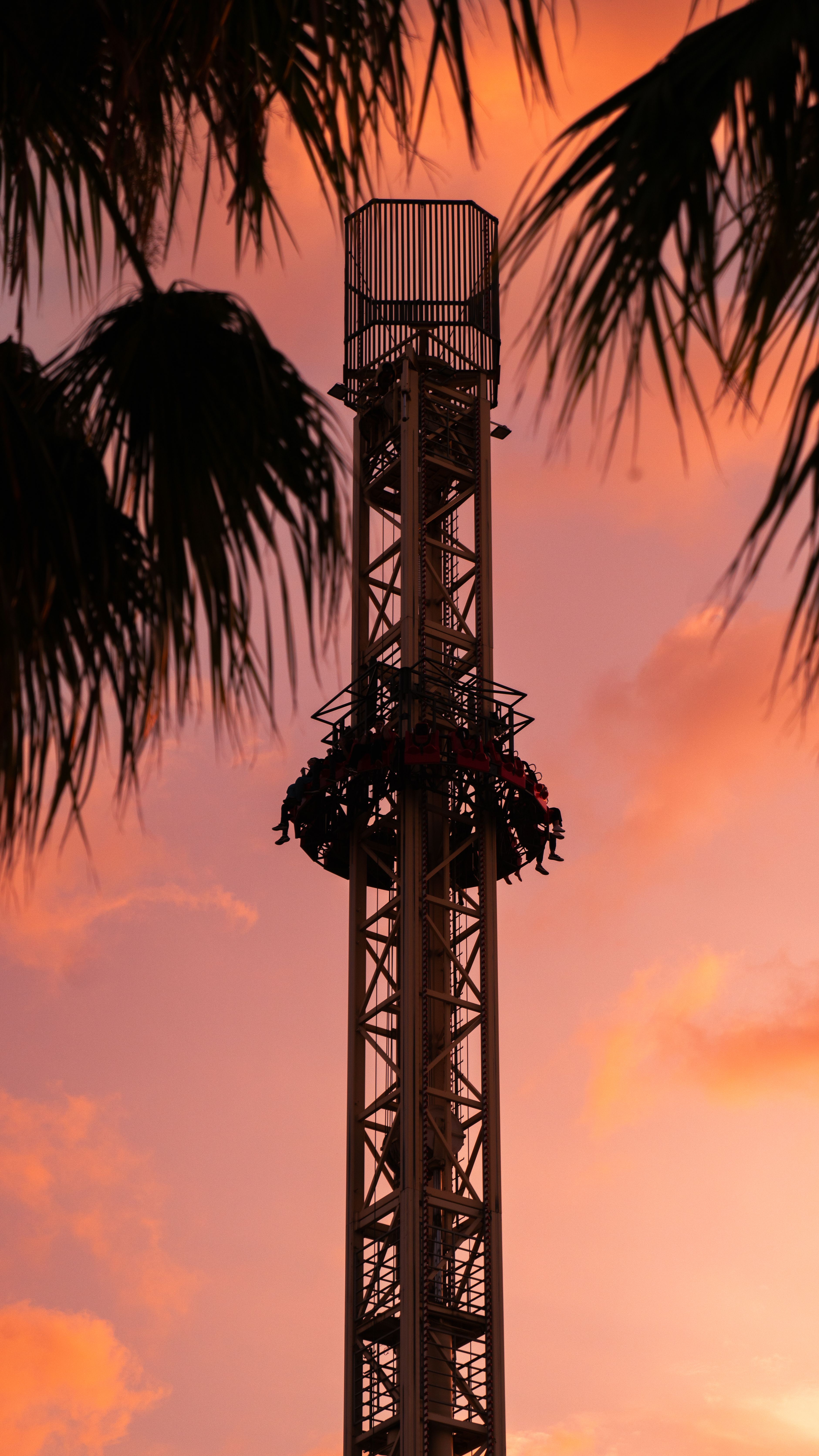 Thrilling Tower Ride at Sunset · Free Stock Photo