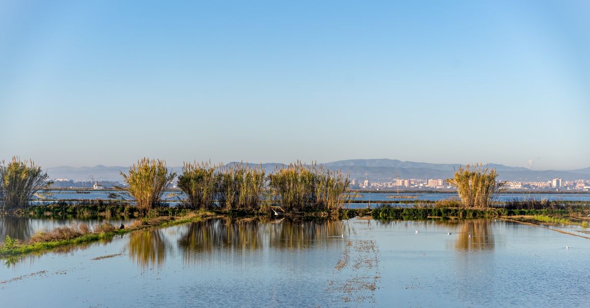 Valencia