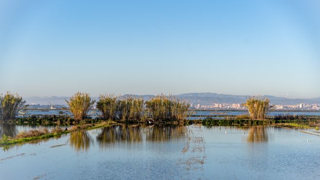 Albufera boat at sunset — Valencia