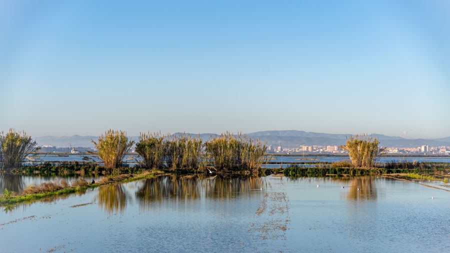 Zatopená rýžová pole u Valencie odrážejí oblohu v okolí laguny Albufera