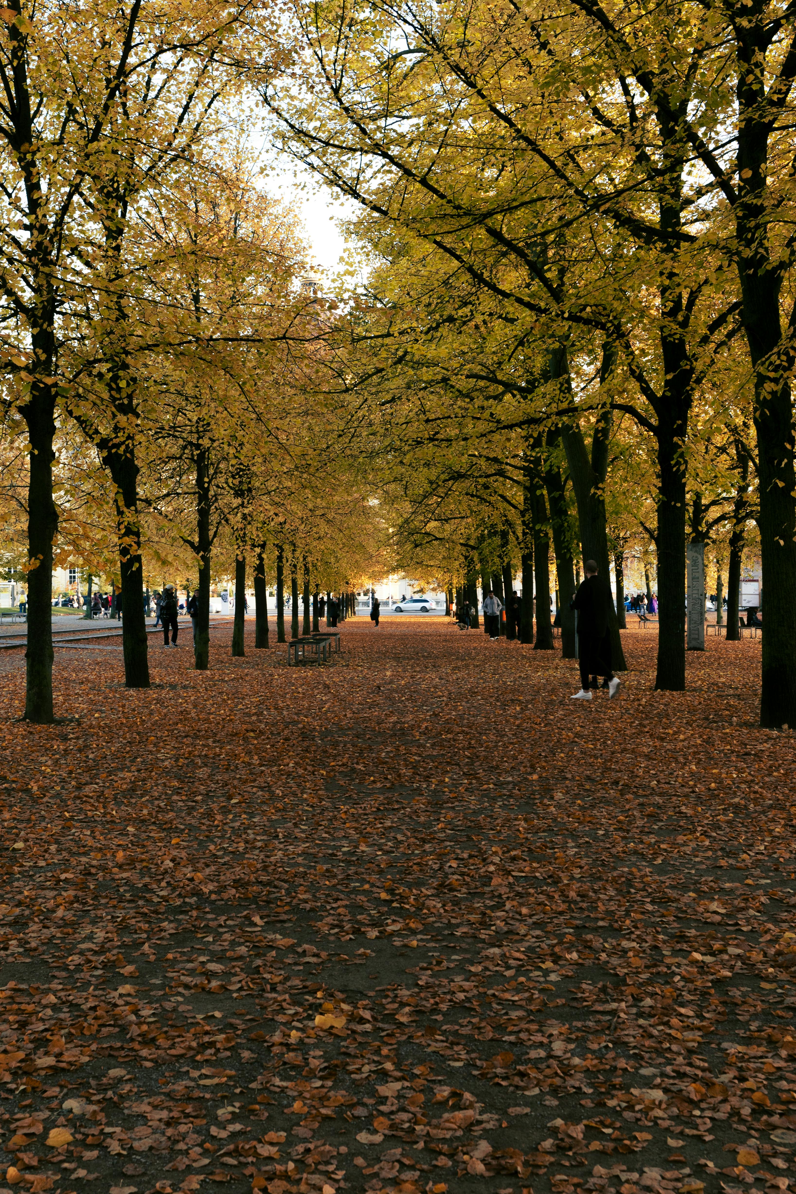Herbstliche Strasse in Berg am Laim, Muenchen