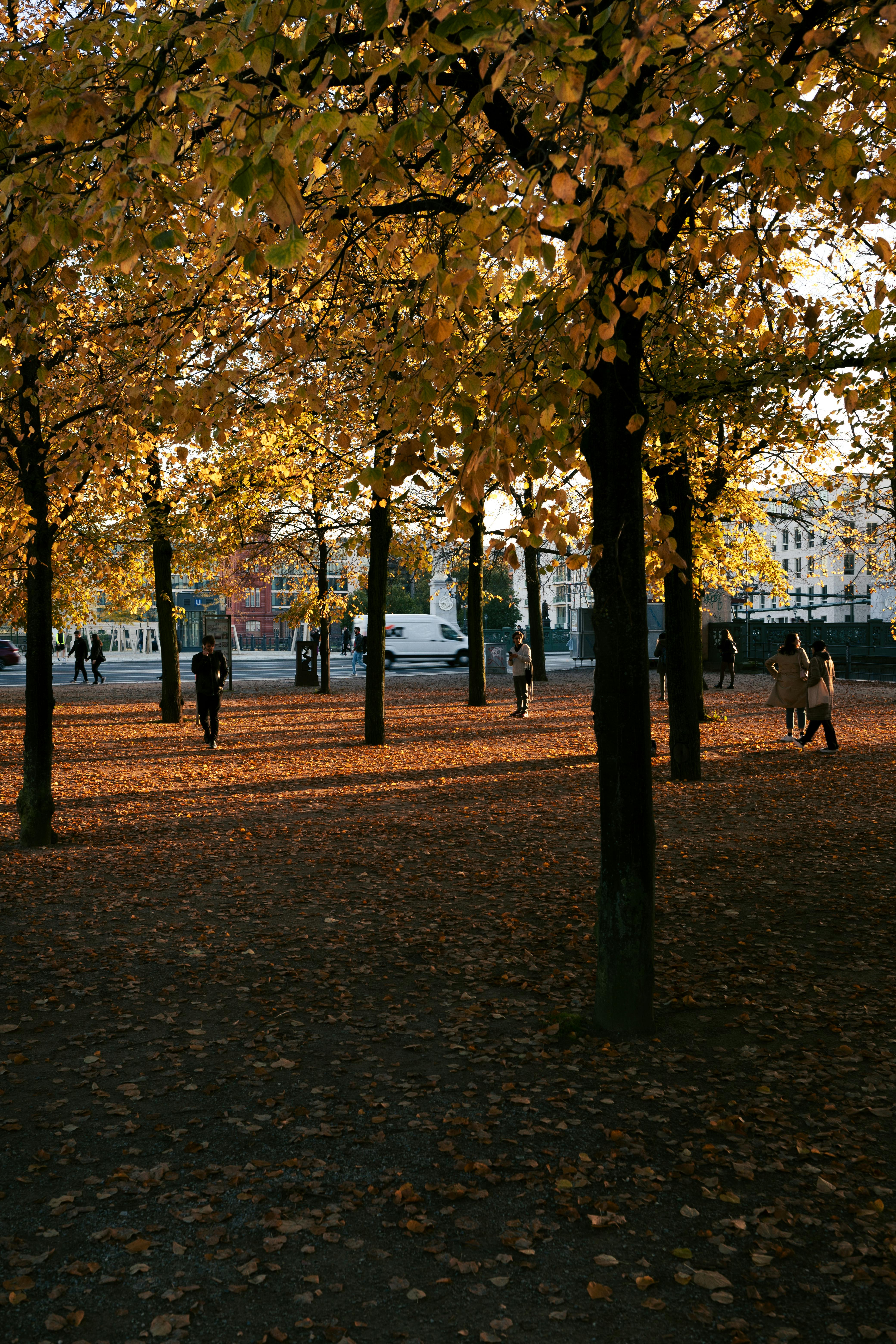 Scenic autumn park in Berlin with golden leaves and people enjoying a leisurely walk.