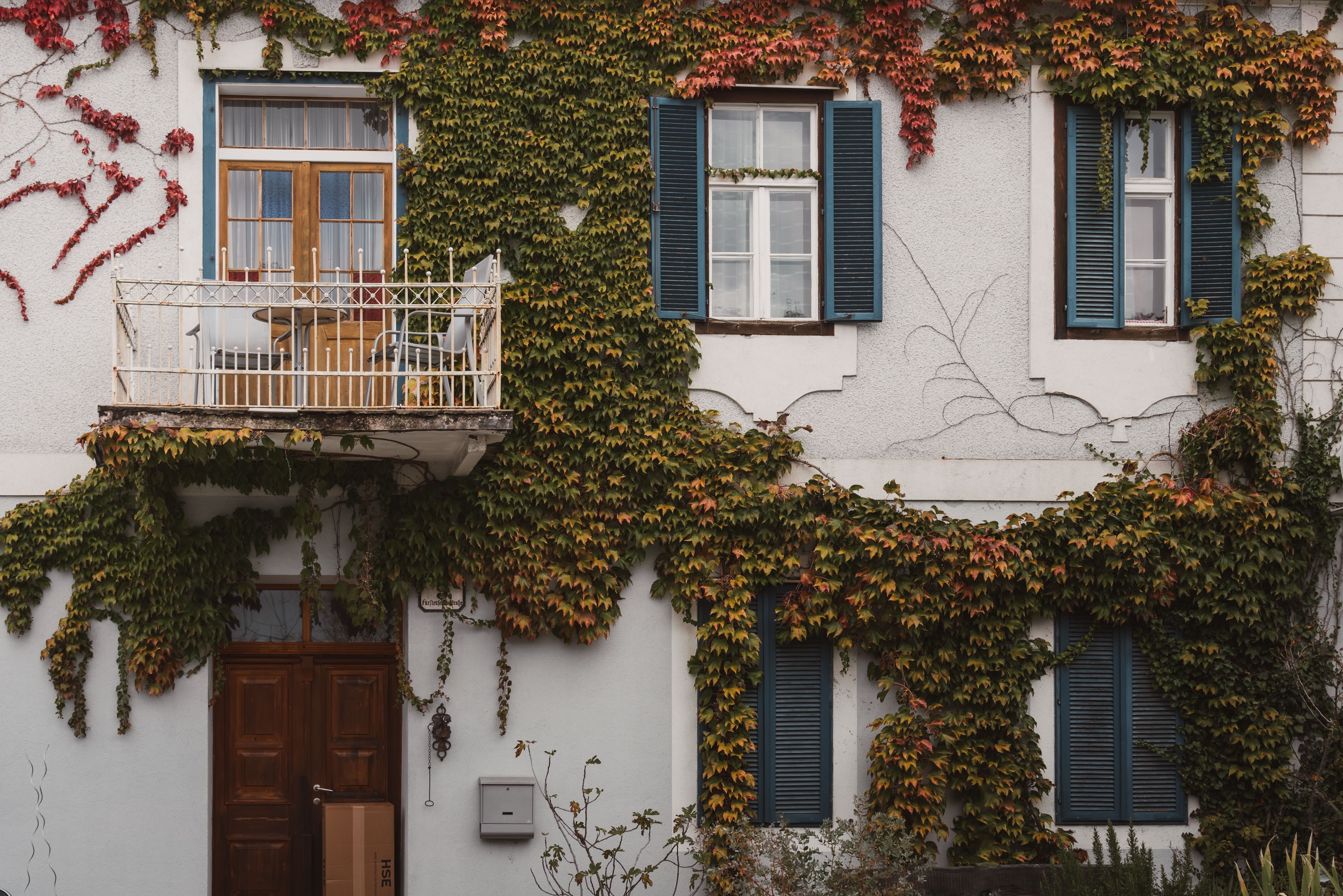 Charming Ivy-Covered House in Autumn Colors · Free Stock Photo
