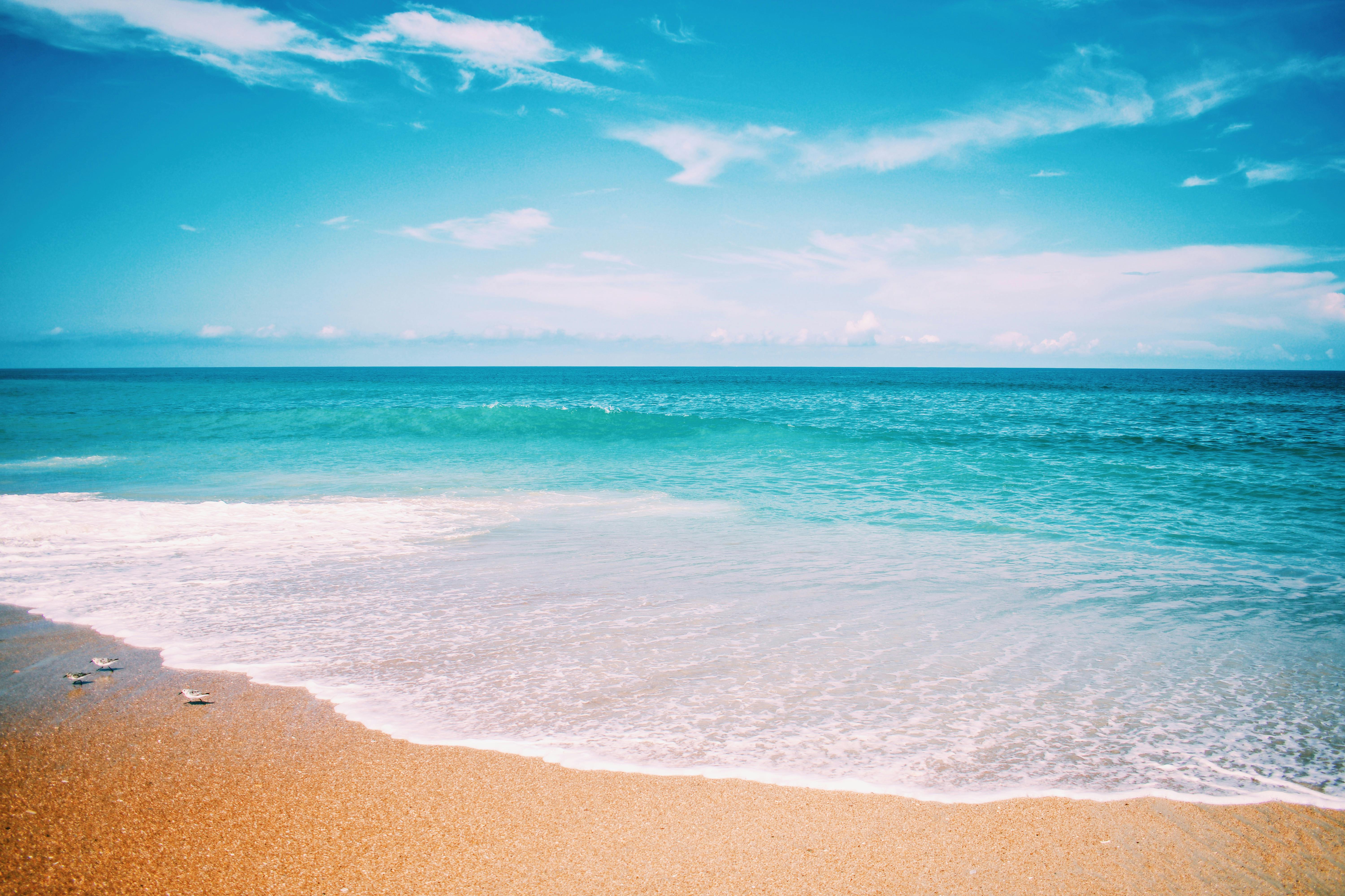 Beach Sand Photos, Download The BEST Free Beach Sand Stock Photos ...
