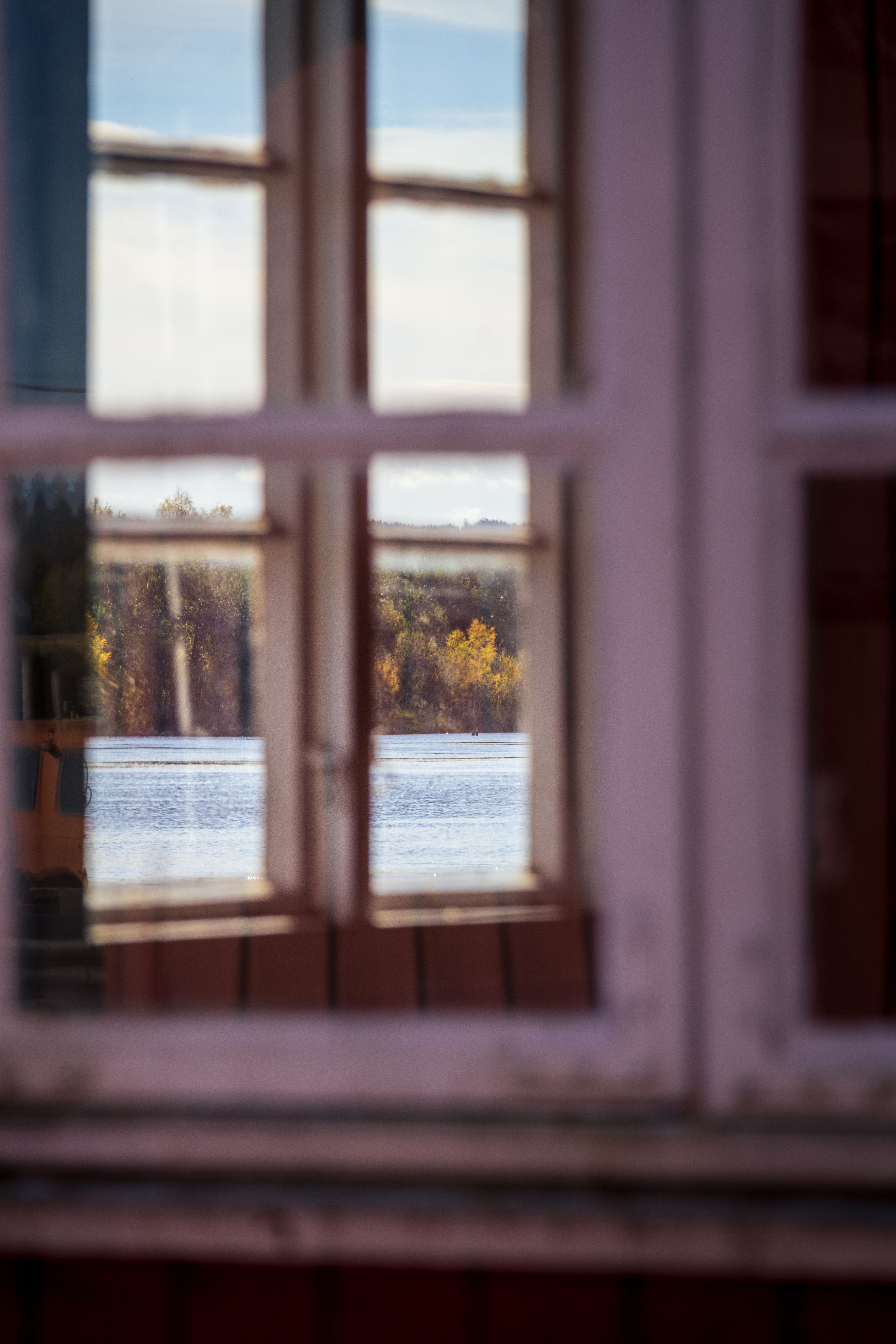Window Reflection of Serene Lake and Forest · Free Stock Photo