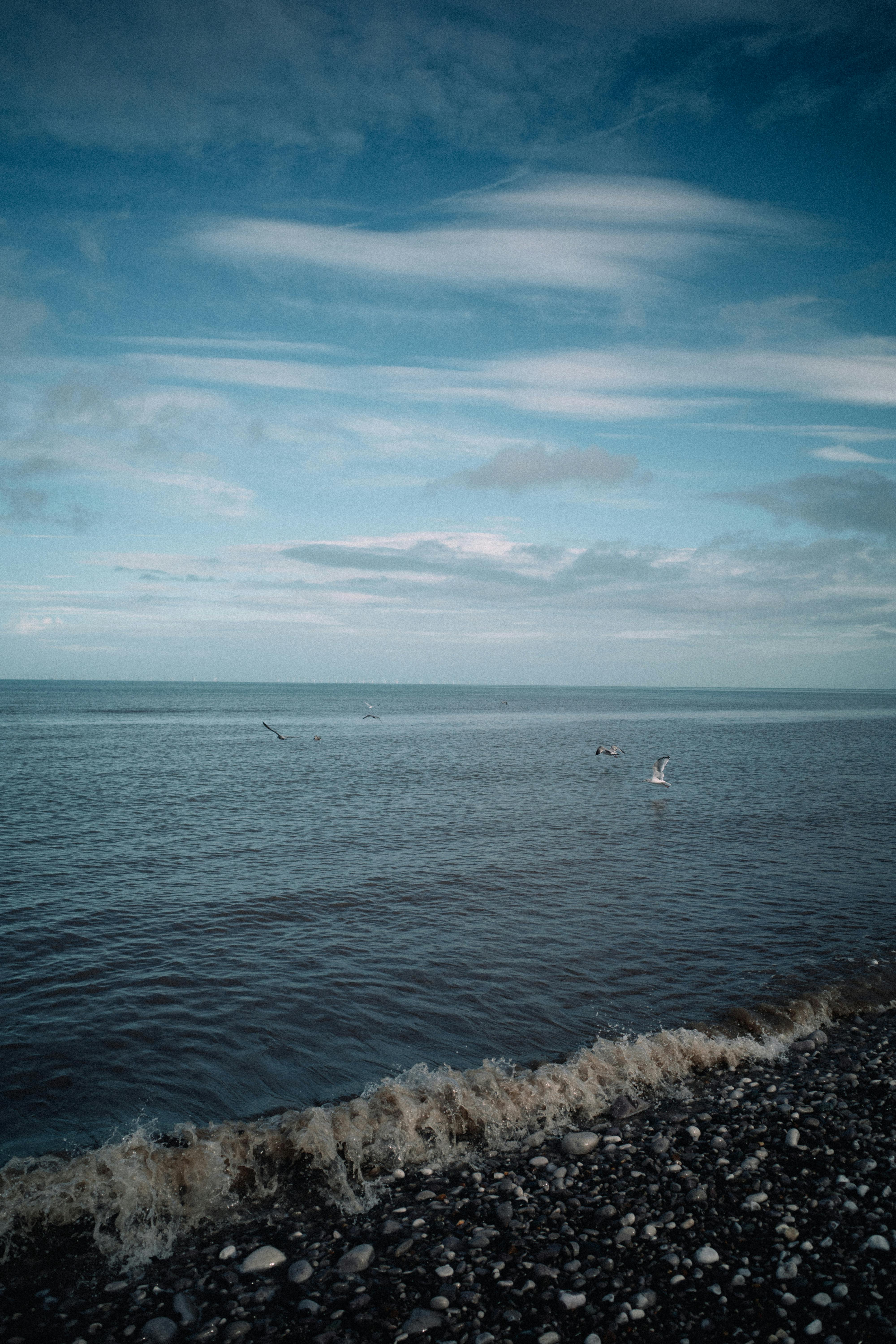 Calm blue waters and pebble beach with seagulls soaring under a vast sky.