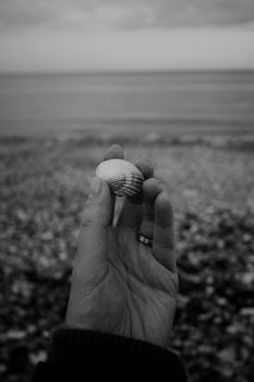 A monochrome photo of a hand holding a seashell by the seashore.
