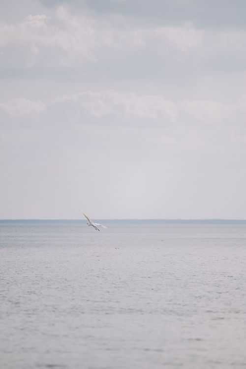 Free A seaplane glides smoothly on a calm ocean under a serene sky, creating a peaceful scene. Stock Photo