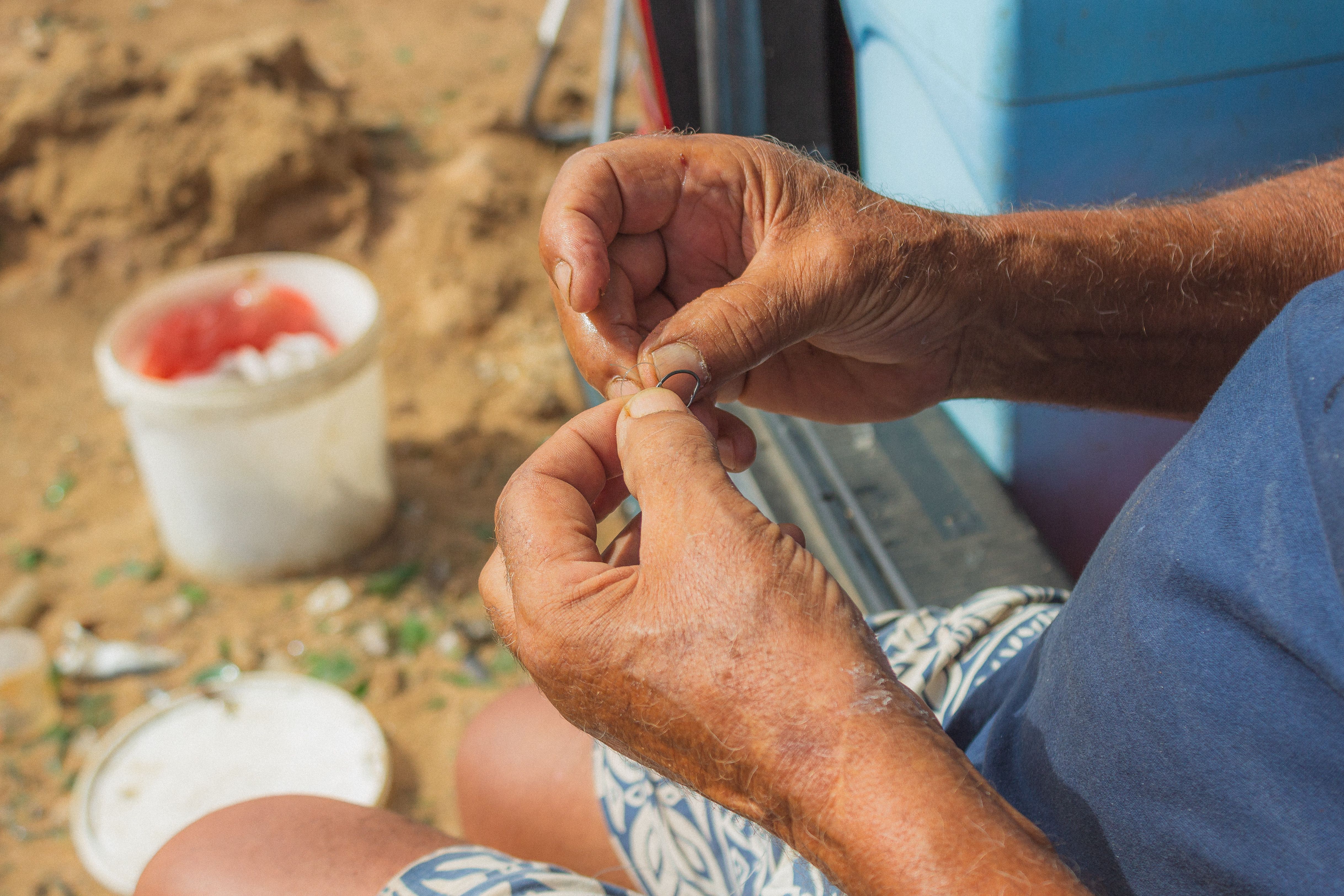 Shaping Zanzibar’s First Seaweed Insurance Solution — Photo by Hassan Bouamoud on Pexels