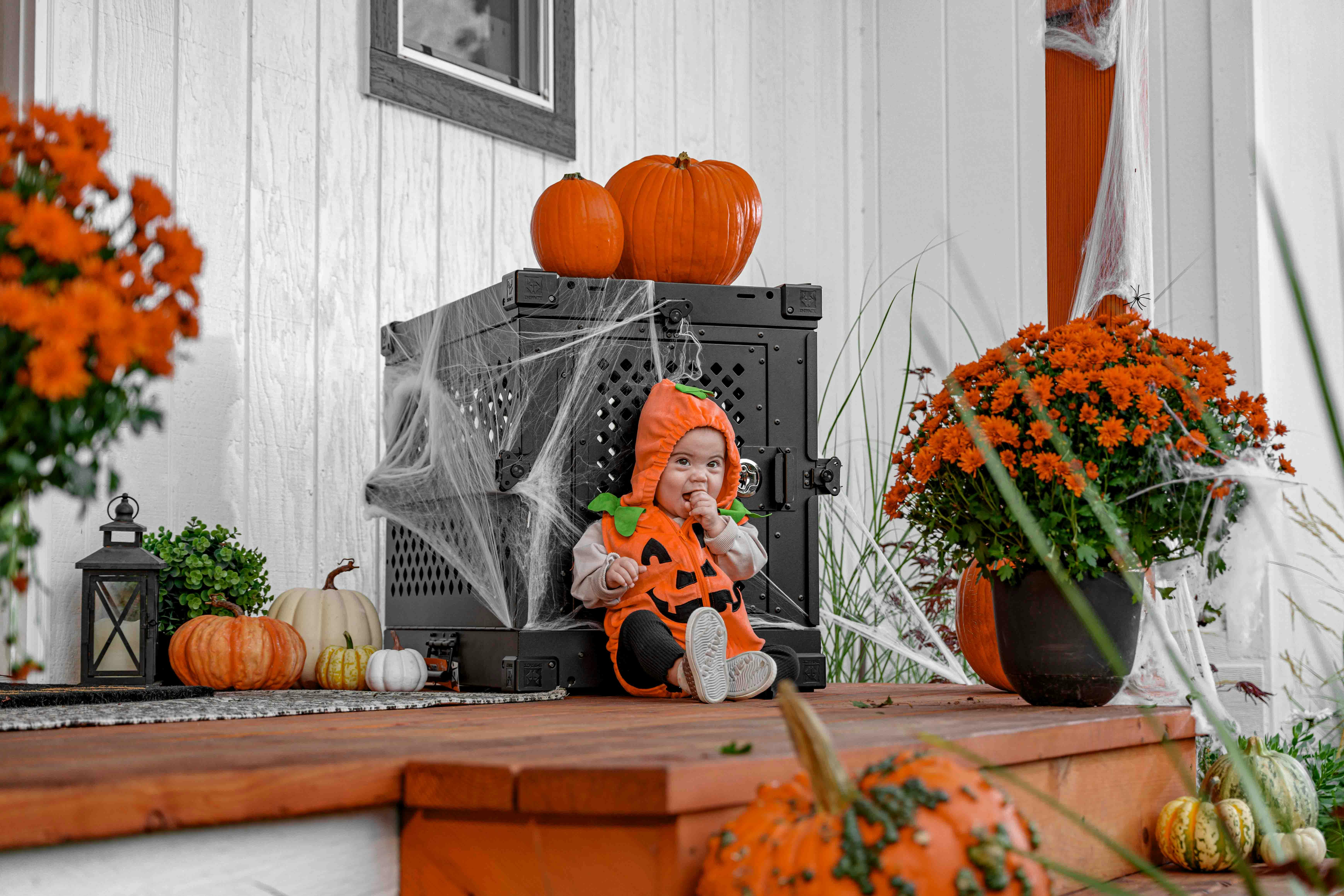 Safe Pets and Spooky Vibes: Halloween Porch Scene with Impact Dog Crate