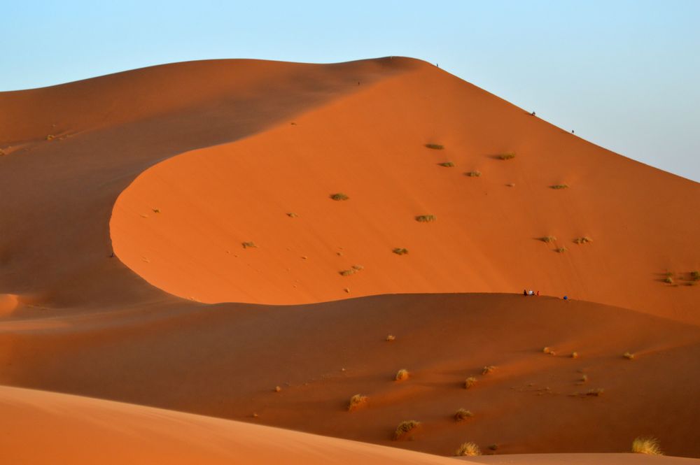 Dunes de sable dorées au coucher du soleil