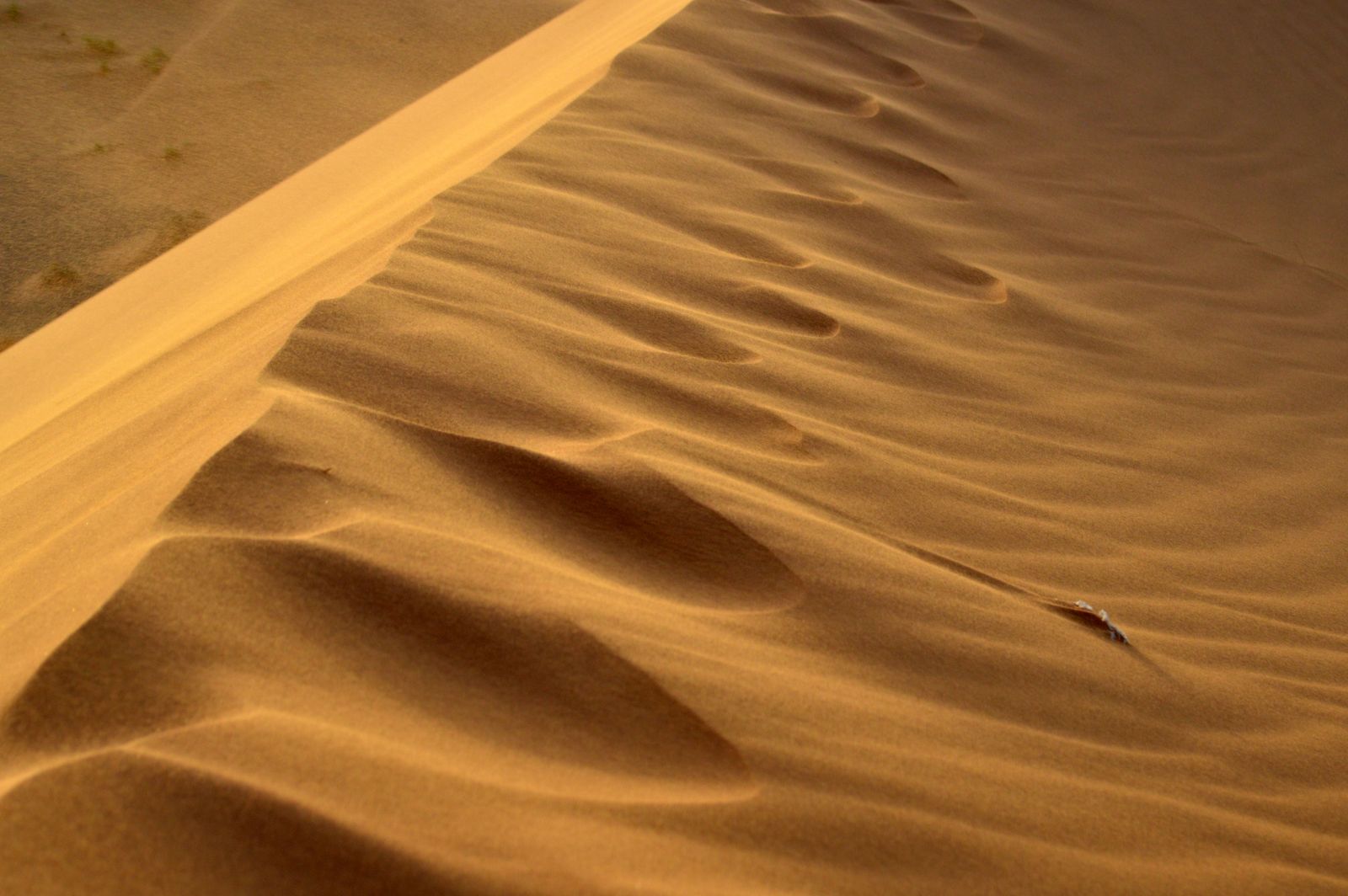5-Day Fes to Marrakech Desert Tour