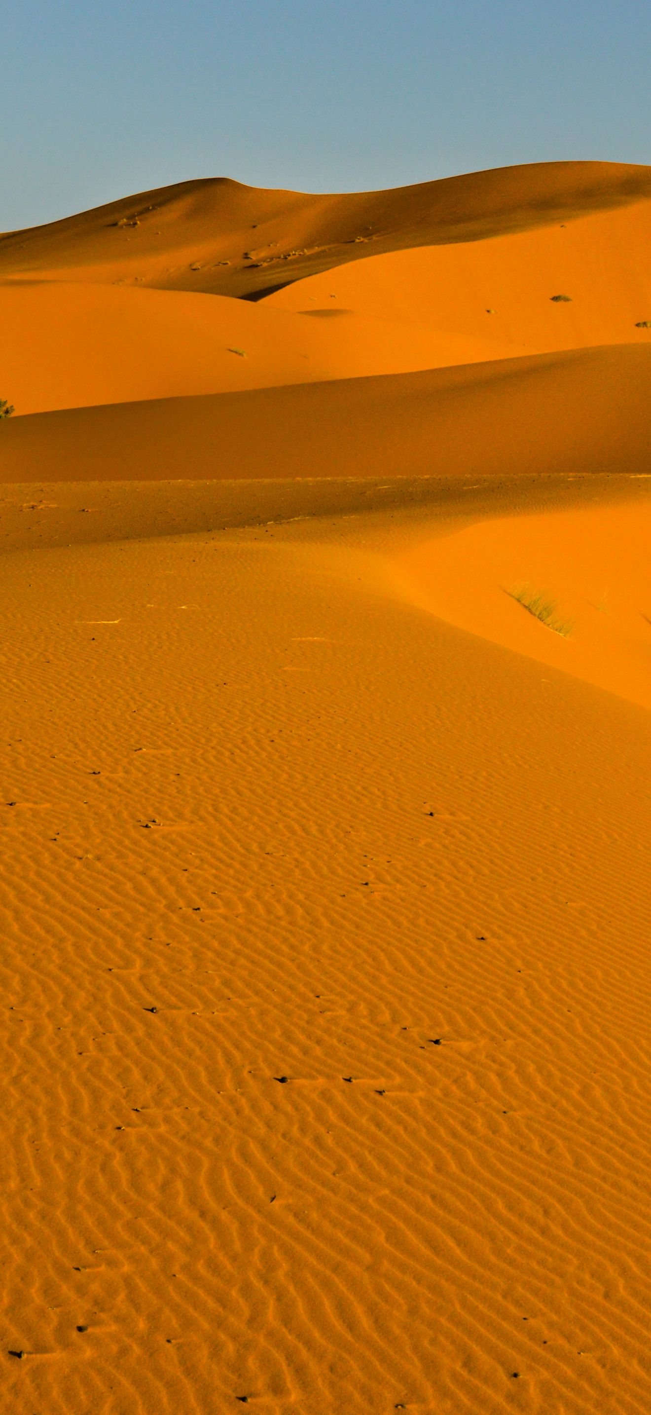 Golden Sahara Desert Dunes at Sunset Morocco 4K iPhone 17 Wallpaper