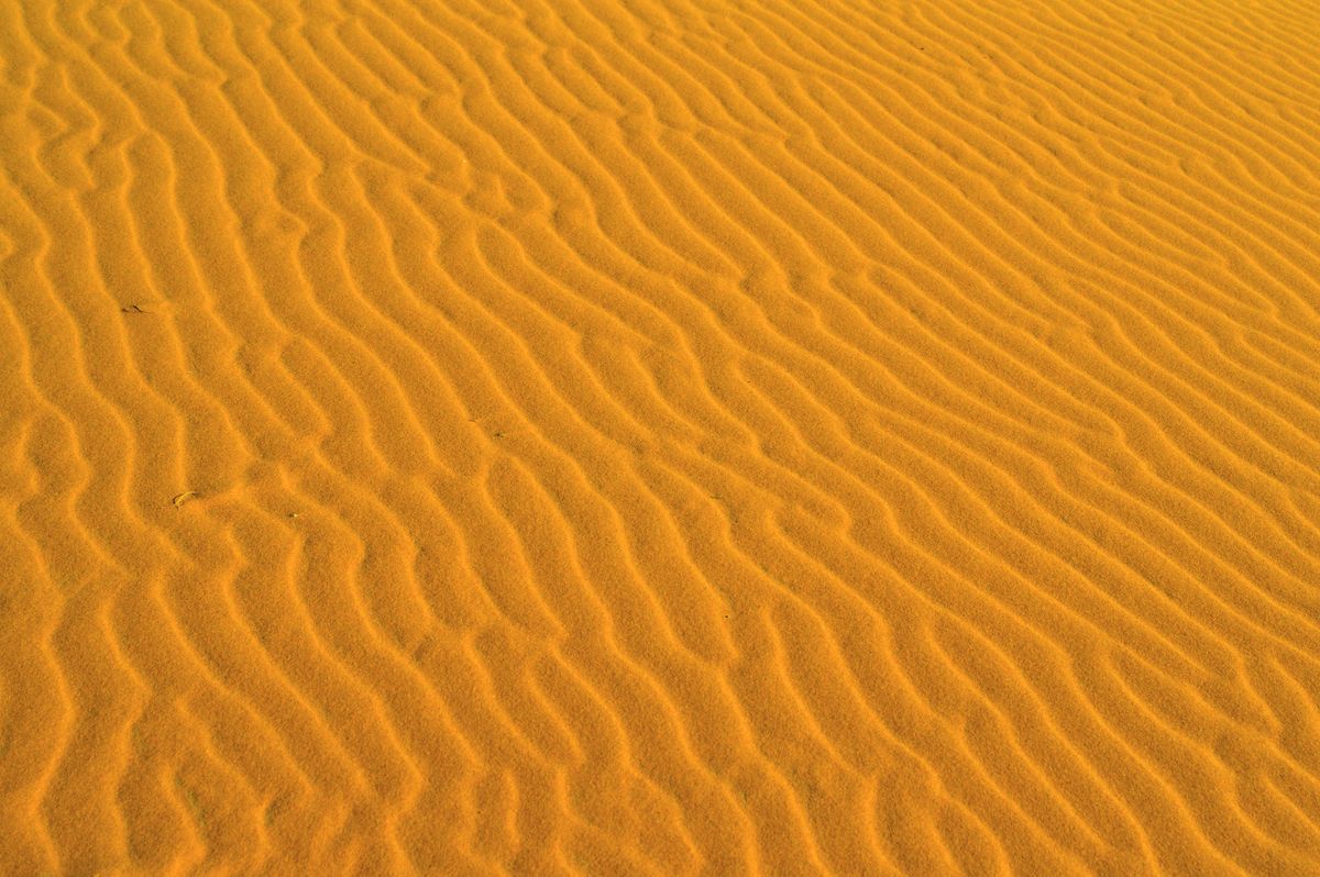 Sandboard