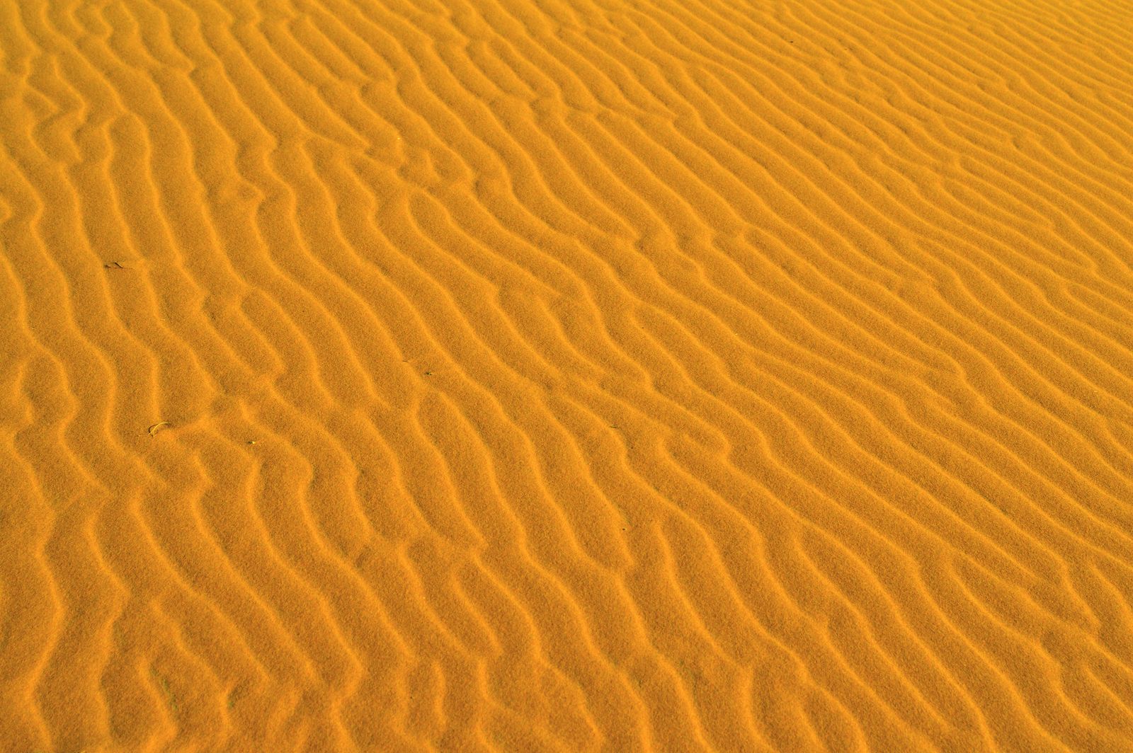 Sandboarding