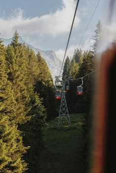 Cable cars traverse a mountainous region covered in evergreen trees under a clear sky.
