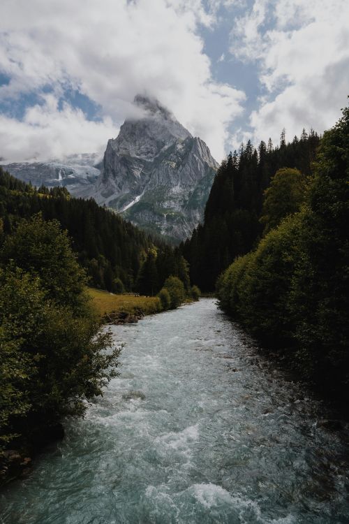 Free A tranquil mountain river flows through a lush forest with a towering peak. Stock Photo