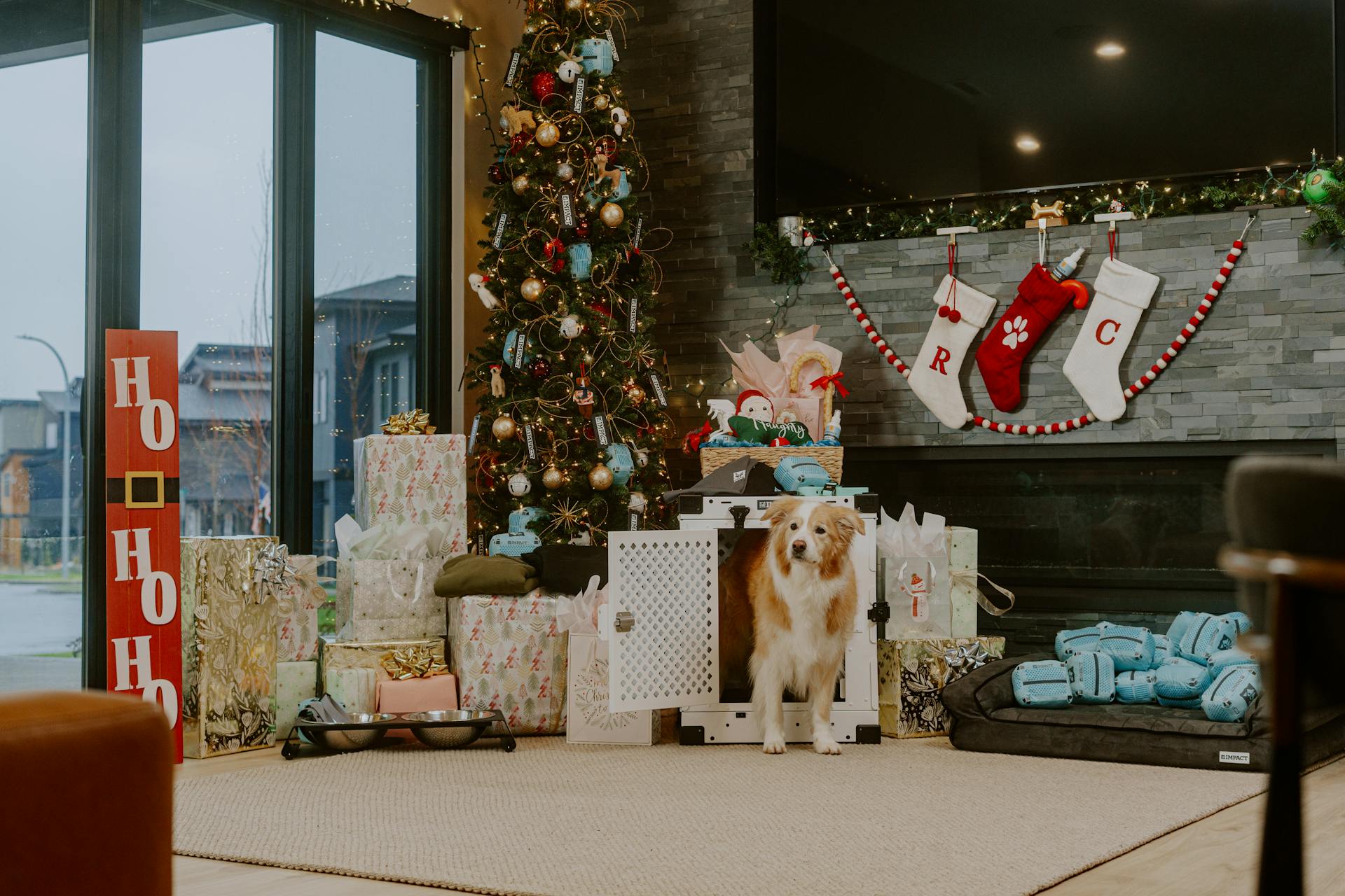 Impact Dog Crates: The Ultimate Gift for Pets and Family Love on Christmas