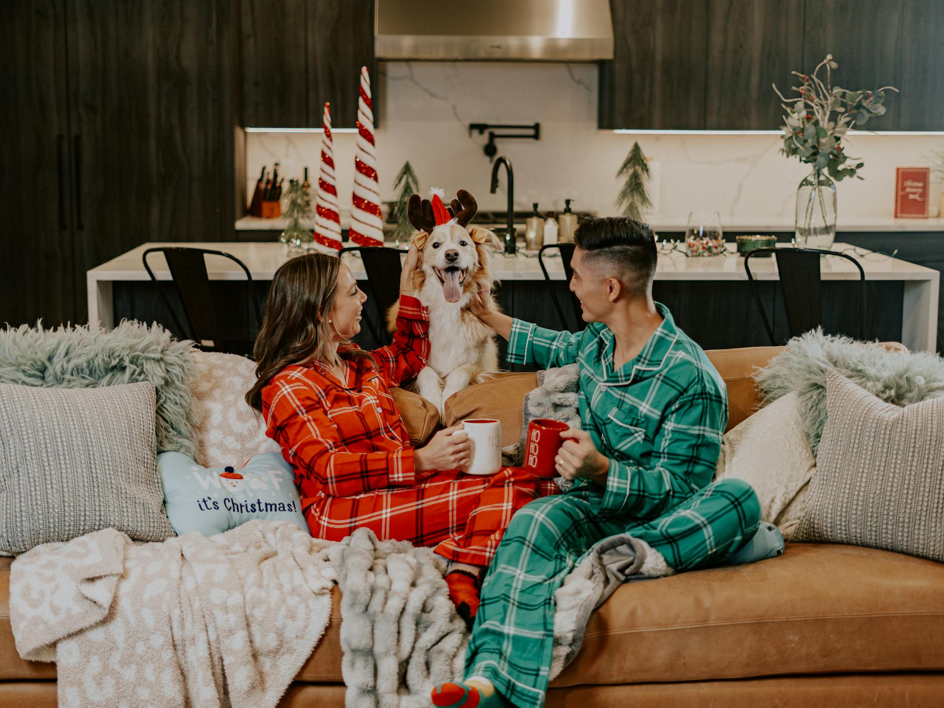 Free stock photo of aussie, beautiful smiles, christmas