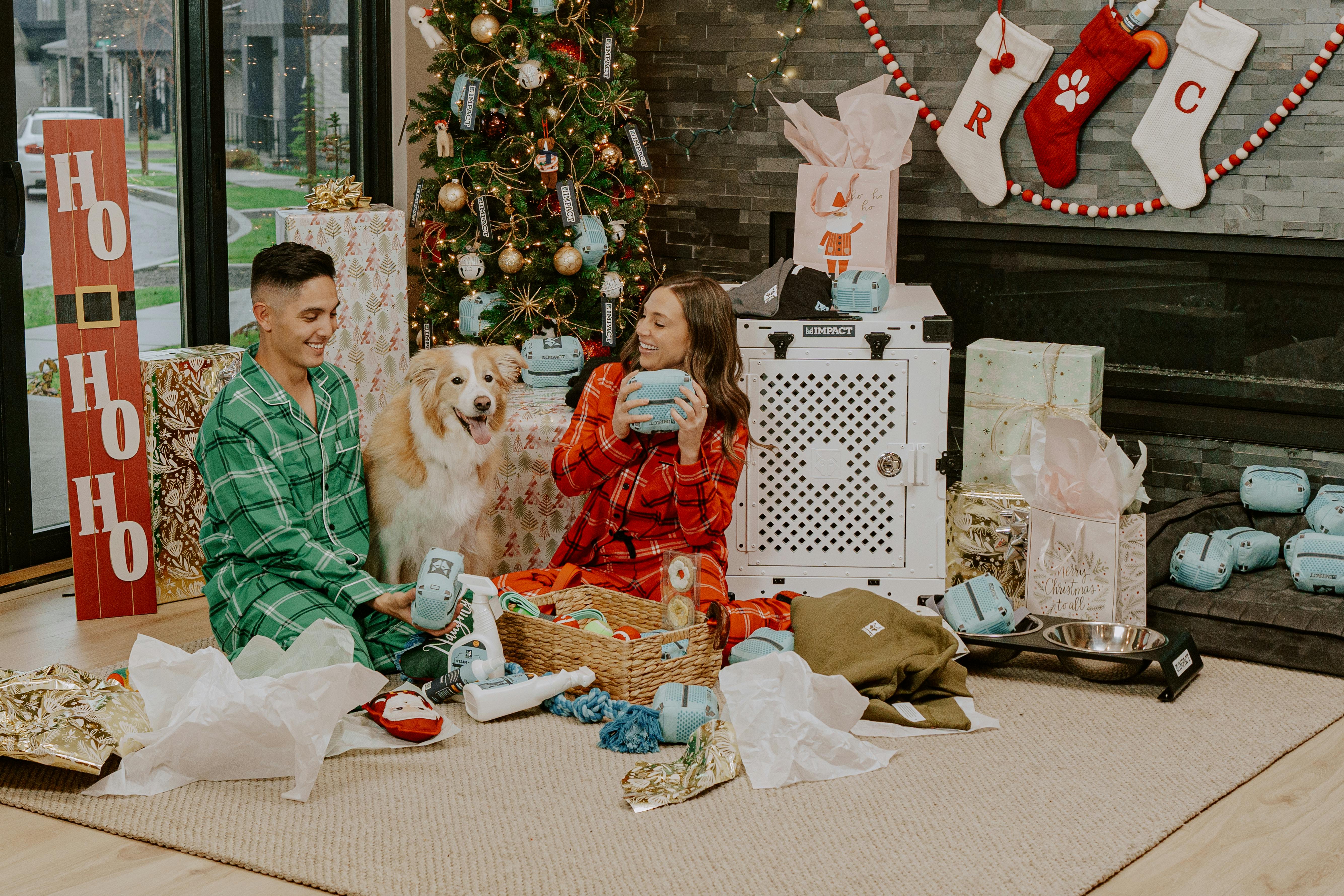 pet technology products — Photo by Impact Dog Crates on Pexels