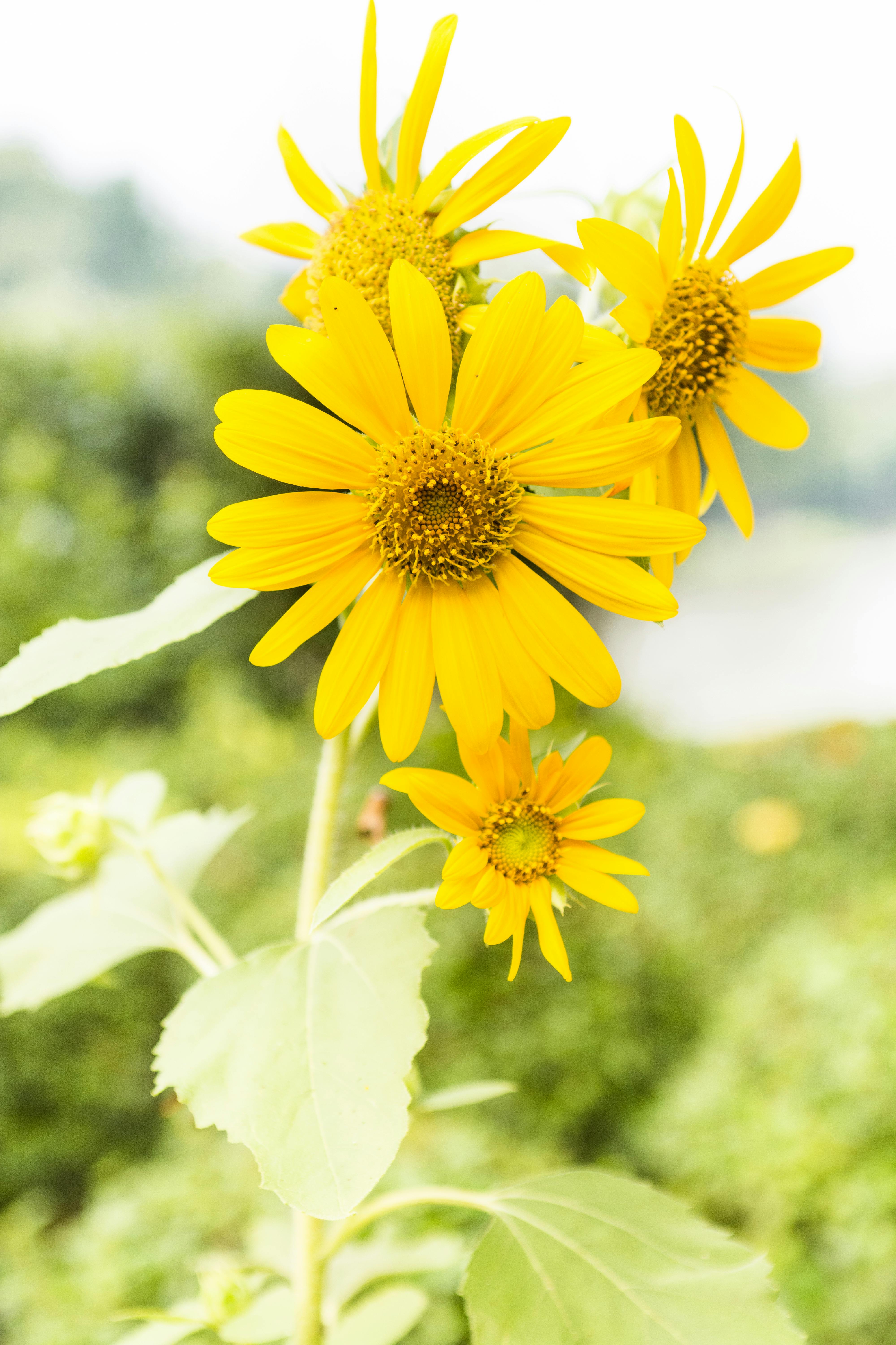 Nurse checking on patient