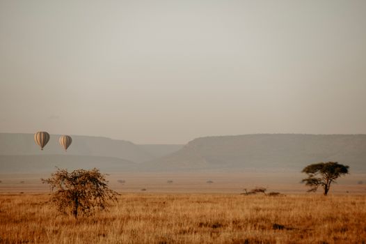 Hot-air balloon over the Mara at dawn — Kenya Safari
