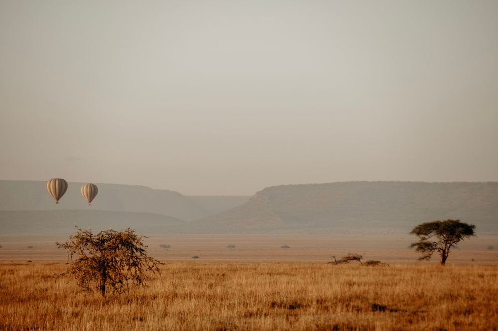 Dos globos aerostáticos flotando sobre la planicie del Serengeti al amanecer