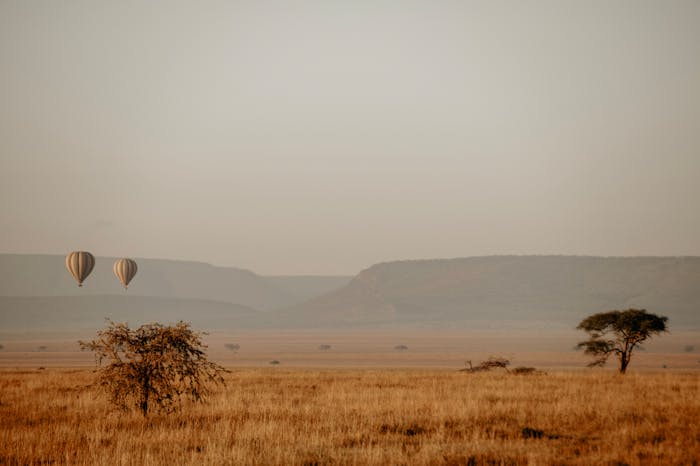 Hot air balloons floating over the Serengeti plains at sunrise