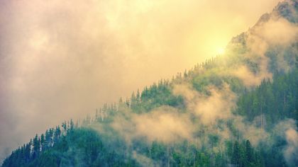 Sunrise light through fog over an evergreen ridge — photo by Johannes Plenio on Pexels