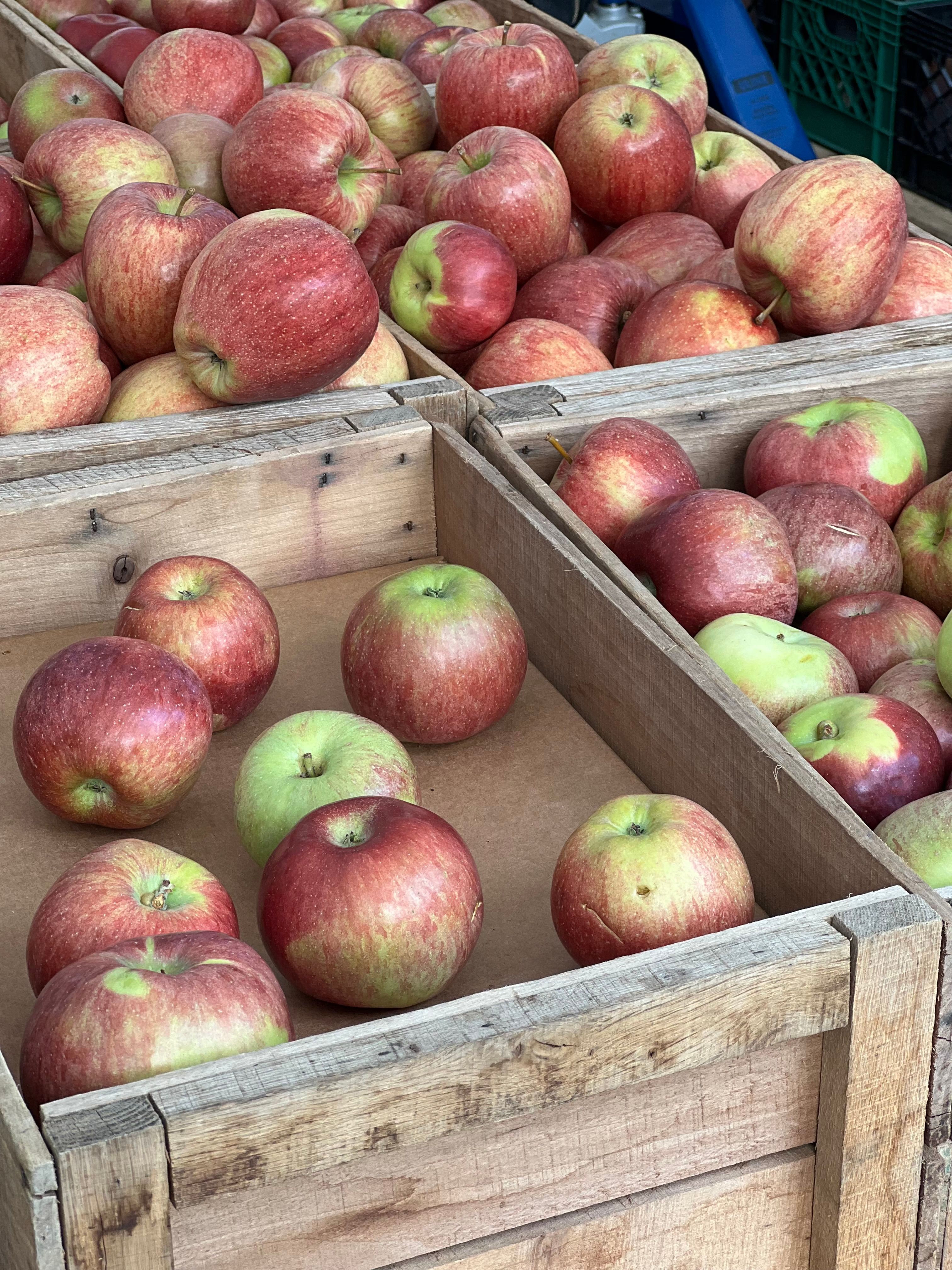apple boxes market