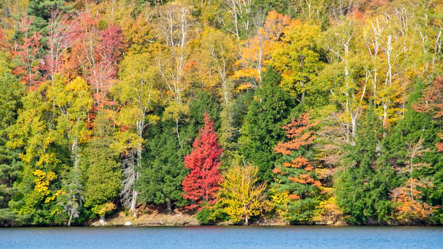 Mount Snow, Vermont: A Big Eastern Resort That Still Feels Kid-Friendly