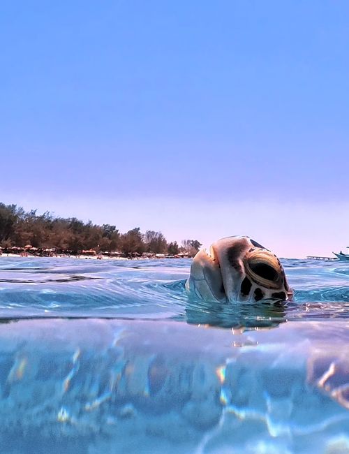 Gili Air