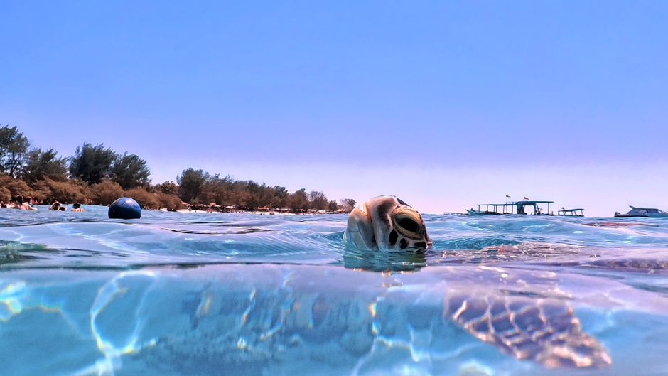 Plongée aux Îles Gili Meno avec centre de plongée