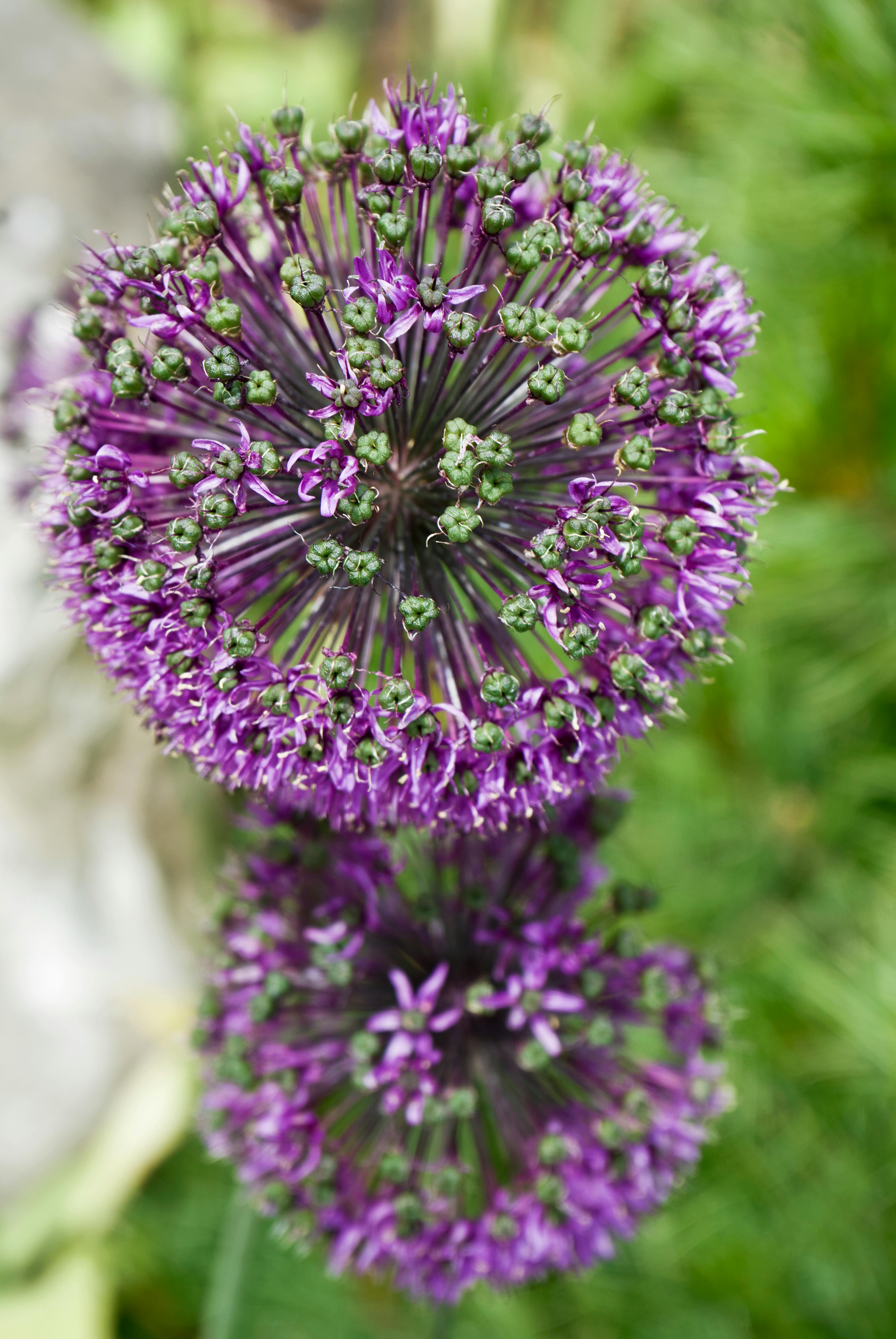 Top 100 Wallpaper Engine Wallpapers 2018 Photos, Download The BEST Free