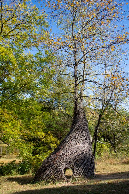 Free Artistic wooden structure in autumn park surrounded by trees and blue sky. Stock Photo
